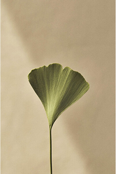 Harikabirev HARİKABİREV | Cremă verde combinație de flori asortate (botanică) | MDF PLKSMDF CU CADRU PLEXY