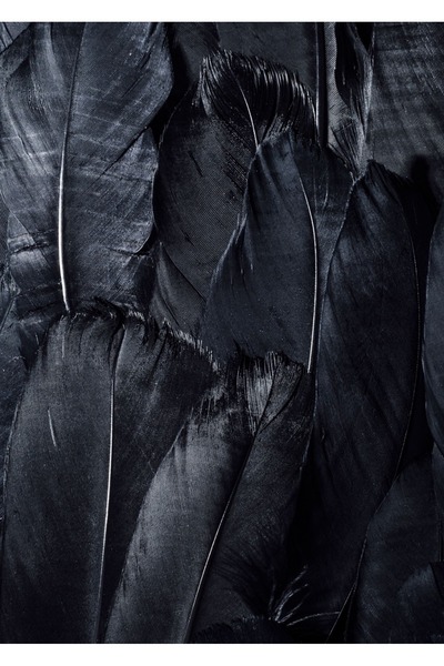 Harikabirev HARİKABİREV | COMBINĂ DE ARIPI AURII-ALBE-NEGRE | MDF PLKSMDF CU CADRU PLEKSIGLAS