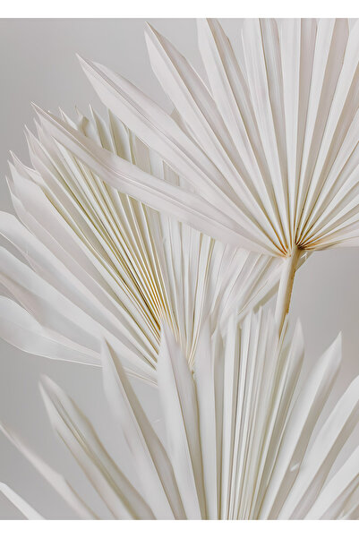 Harikabirev HARİKABİREV|SOFT KREM BİTKİLİ-PALMİYE MODELİ |PLEKSİ ÇERÇEVELİ MDF PLKSMDF