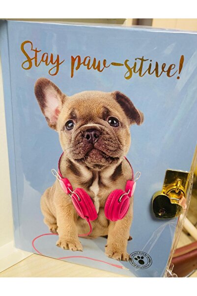 Dolphin Studiopets Locked Souvenir Def.Dog-Blue