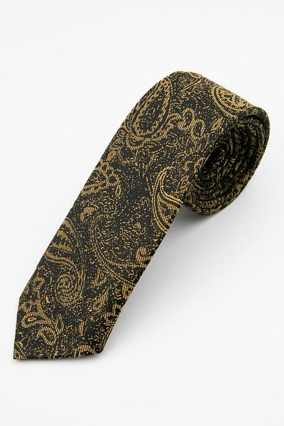 SIRRI Men's Paisley Patterned Tie and Handkerchief Set the Meeting of Classic and Modern Style (5.5X150Cm)