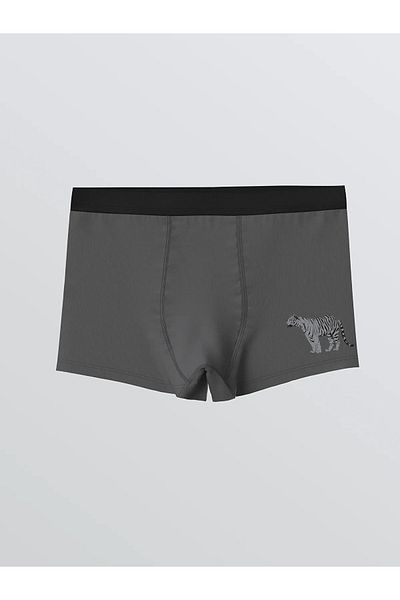 LC Waikiki Printed Boy's Boxer Set of 3