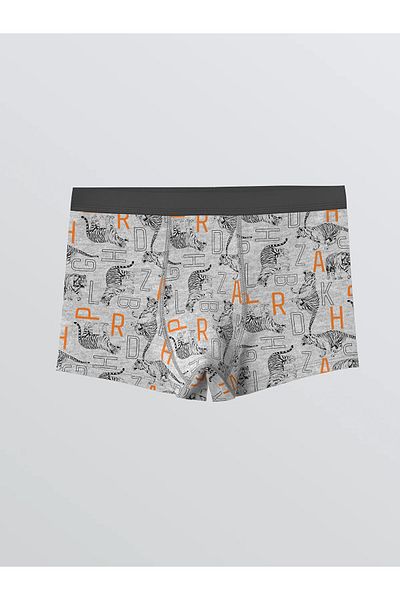 LC Waikiki Printed Boy's Boxer Set of 3