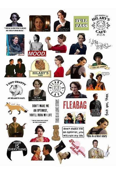 MS Major Selection Fleabag Laptop Notebook Phone Case Sticker Pack