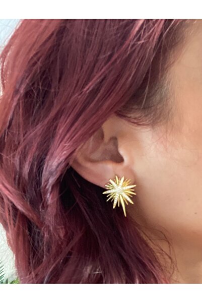 Byoz store 14k altın kaplama kuzey yıldızı gold taşlı küpe