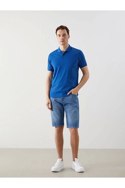 LC Waikiki Lc Waiki Standard Fit 100% Cotton Pique Fabric Polo Neck T-Shirt