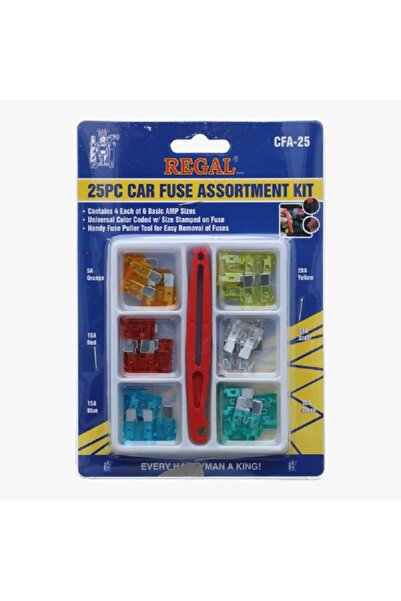 Regal مجموعة متنوعة من فيوزات السيارة (25 قطعة)