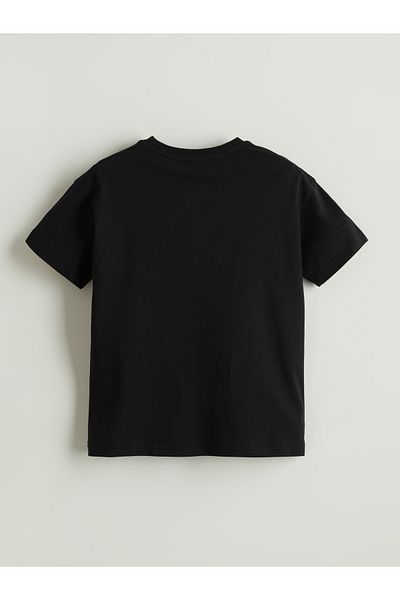 LC Waikiki Crew Neck Boy's T-Shirt
