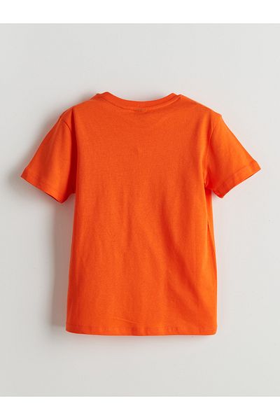 LC Waikiki Crew Neck Boy's T-Shirt