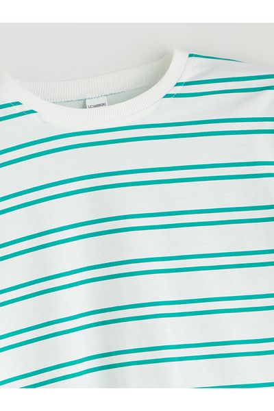 LC Waikiki Crew Neck Striped Boy T-Shirt