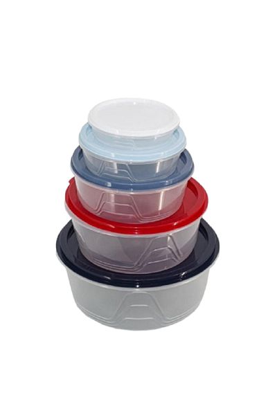 rexa 5-Piece Plastic Storage Container Set with Colorful Lids – Reusable Food & Home Organizer