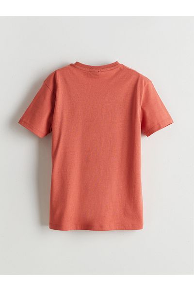 LC Waikiki Crew Neck Boy's T-Shirt
