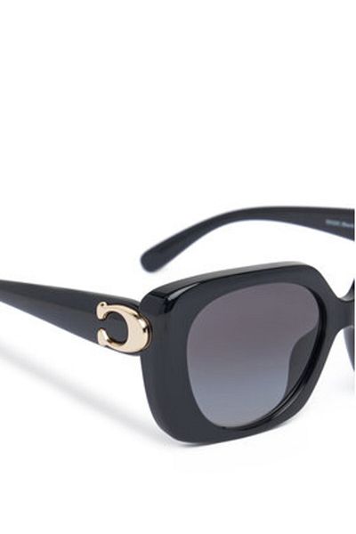 Coach Women's Sunglasses black COACH-0HC8422U 50023C