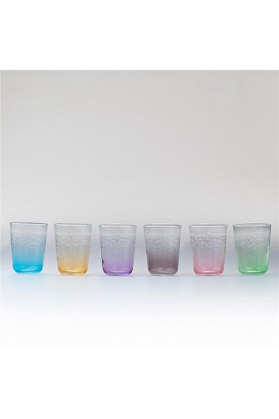 TOYGAR Gardenya Degrade Asorti̇ Water Cup 6 Colors 6 Pcs