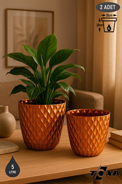 ToXA 2 Adet 5 Litre 20cm Tabaklı Delikli Plastik Vera Saksı