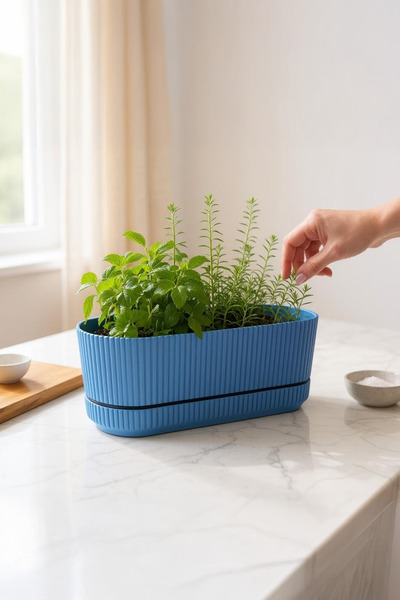 TEMMUZ HOME PERA 2 No UZUN SAKSI çiçek sukulent kaktüs ve bitki saksısı. 3 LİTRE