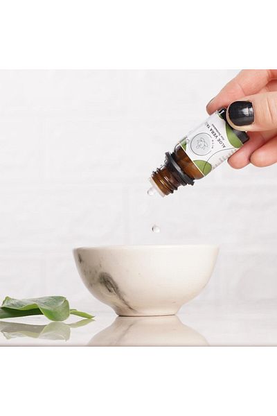Mitr Aloe Vera Essential Oil (Handmade)
