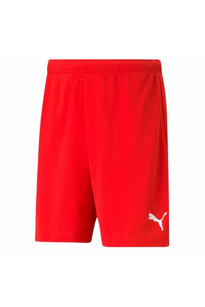 Puma Men's Sports Shorts - Teamrise