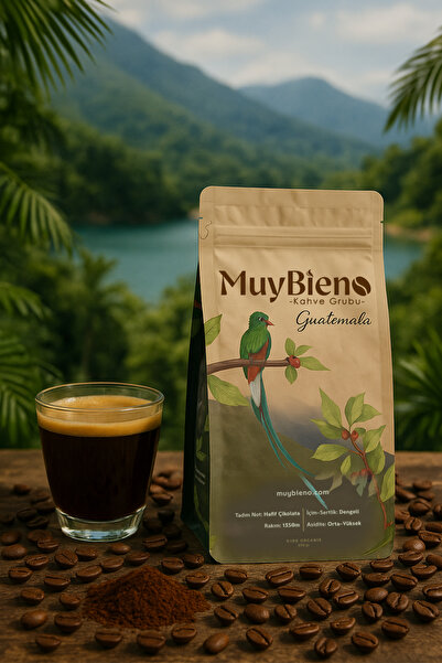 Muybieno Guatemala huehuetenango Öğütülmüş Filtre Kahve