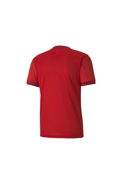 Puma Men's Training T-shirt Suitable for Daily Use and Sports – Comfortable Plain T-shirt