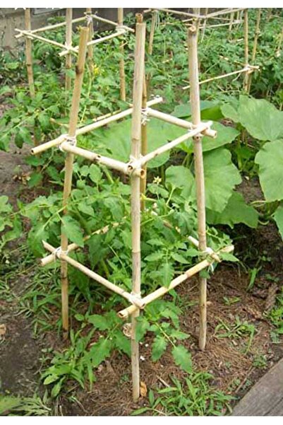 FİDAN PAZARI Bitki Destek Çubuğu 10 Adet 150 Cm