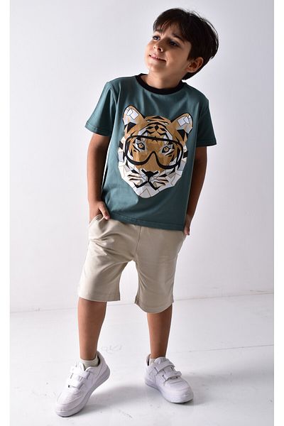 Banadamoda Boy's Printed T-shirt Shorts Set