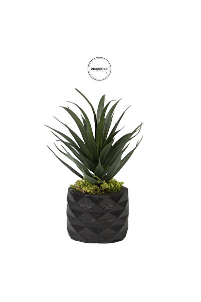 Dekorsende Planta suculentă artificială ascuțită, verde închis, cu ghiveci de 15 cm