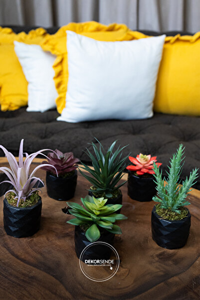 Dekorsende Yapay Mini Echeveria Sukulent Bordo 8 cm Saksılı