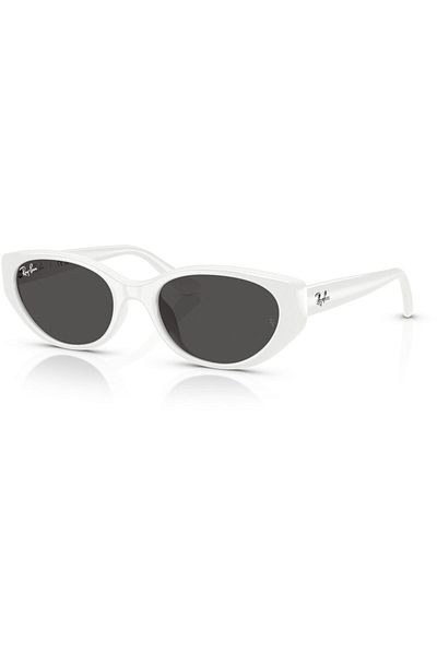 Ray-Ban 0Rb4457D 677287 55 Unisex Sunglasses