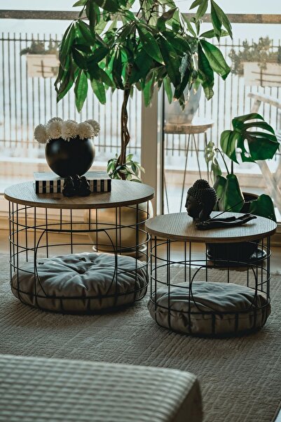 TOPRAK E-TİCARET 2 Li Kedi Yuvalı Sepet Sehpa Yastıklı Metal Zigon Çok Amaçlı...