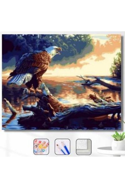 Pastelya Sayılarla Boyama Seti Çerçeveli Kasnaklı Kartal Bakışı 40 x 50 Cm