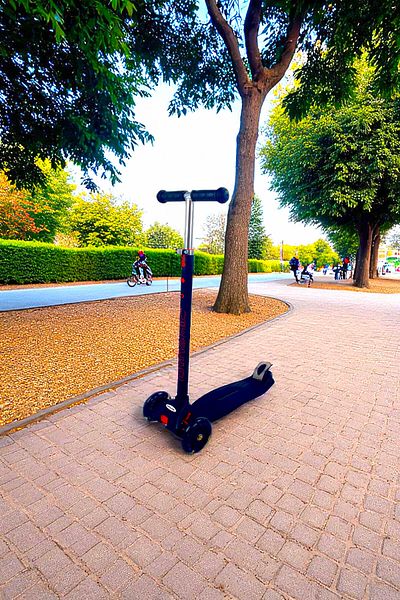Dynamic New Generation Ht208 Black Light 3 Wheel Scooter