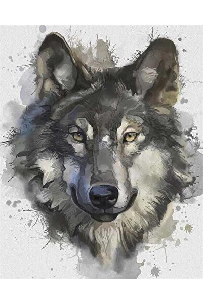 Pastelya Sayılarla Boyama Seti Çerçeveli Kasnaklı Gri Kurt 40 x 50 Cm