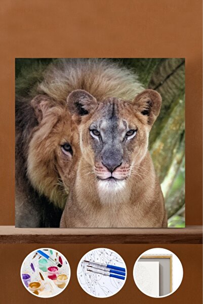 Pastelya Sayılarla Boyama Seti Çerçeveli Kasnaklı Aslanların Aşkı 2 40 x 50 Cm