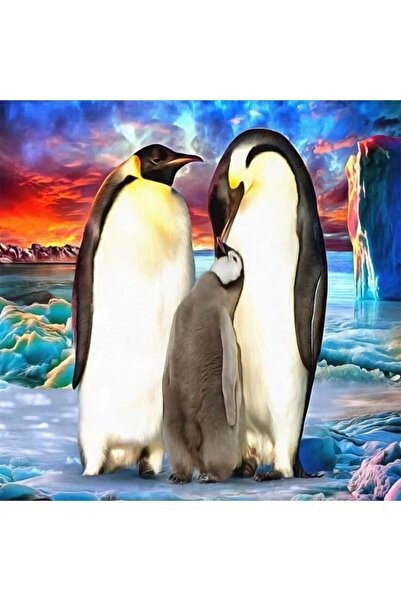 Pastelya Sayılarla Boyama Seti Çerçeveli Kasnaklı Penguenler 40 x 50 Cm