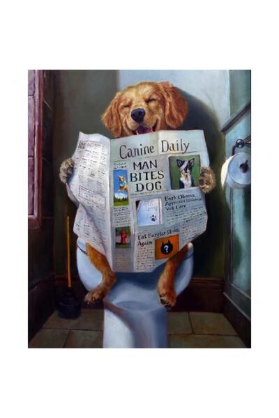 Pastelya Sayılarla Boyama Seti Çerçeveli Kasnaklı Entel Köpek 40 x 50 Cm