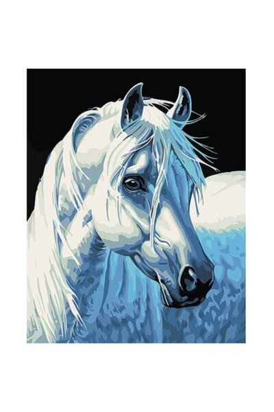 kendinyaphobi Sayılarla Boyama Seti 40 X 50cm Çerçeveli Kasnaklı: Yıldızlı At