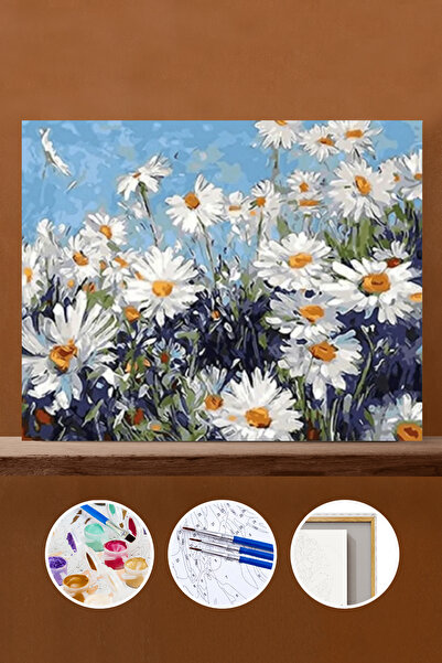 Pastelya Papatya Tarlası Sayılarla Boyama Seti Çerçeveli Kasnaklı (DZ 5)