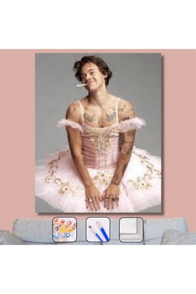 Pastelya Sayılarla Boyama Seti Çerçeveli Kasnaklı Harry Styles 40 x 50 Cm