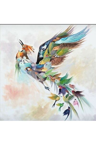Genel Markalar Simurg Kuşu Sayılarla Boyama Seti Çerçeveli Kasnaklı 40 x 50 cm