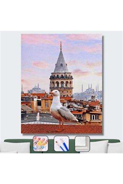 Pastelya Sayılarla Boyama Seti Çerçeveli Kasnaklı Galata Kulesi Ve Martı 40x50