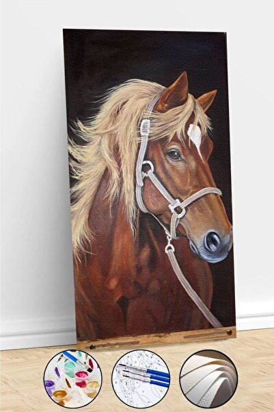 Pastelya Sayılarla Boyama Seti Çerçeveli Kasnaklı Asil At 3 40 x 50 Cm