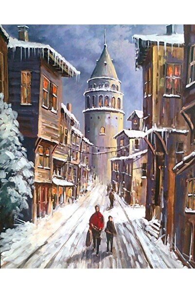 Pastelya Sayılarla Boyama Seti Çerçeveli Kasnaklı Eski Galata Evleri 60 x 75 cm