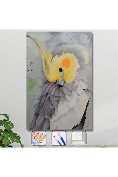 Genel Markalar Sayılarla Boyama Seti Kasnaklı Nazlı Kuş 40 X 50 Cm