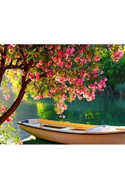 Pastelya Sayılarla Boyama Seti Çerçeveli Kasnaklı Göl Manzarası 40 x 50 Cm