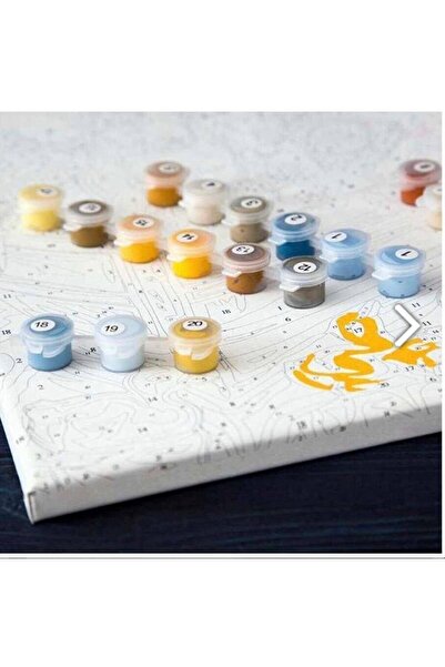 Pastelya Sayılarla Boyama Seti Çerçeveli Kasnaklı Kedi Portre 2 40x50