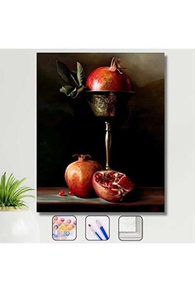 Pastelya Sayılarla Boyama Seti Çerçeveli Kasnaklı Narlar 40 X 50 Cm