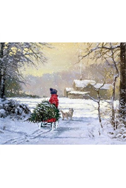 Pastelya Sayılarla Boyama Seti Çerçeveli Kasnaklı Kış Manzarası 40x50cm