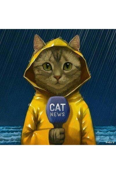 Pastelya Muhabir Kedi Sayılarla Boyama Seti Çerçeveli Kasnaklı 40x50 cm