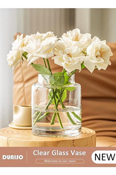 Generic Creative Transparent Glass Vase Craft Aesthetic Decoration Hydroponic Plant Desktop Decoration